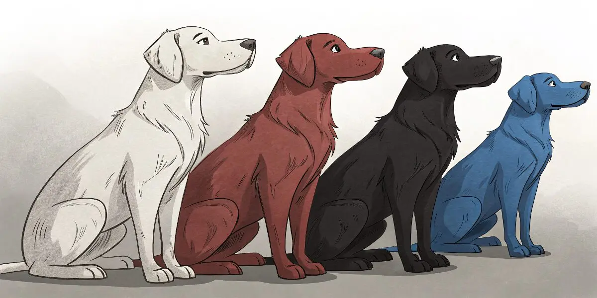 白、黒、茶色、青の4色の犬が並び、それぞれが異なる象徴的な意味を持っている様子。